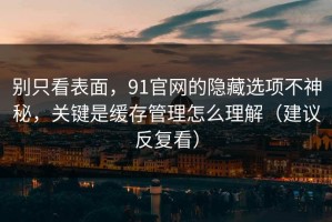 别只看表面，91官网的隐藏选项不神秘，关键是缓存管理怎么理解（建议反复看）