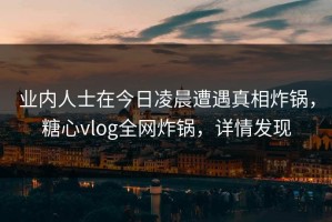 业内人士在今日凌晨遭遇真相炸锅，糖心vlog全网炸锅，详情发现