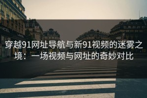 穿越91网址导航与新91视频的迷雾之境：一场视频与网址的奇妙对比