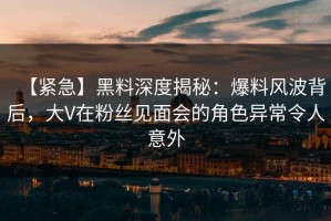 【紧急】黑料深度揭秘：爆料风波背后，大V在粉丝见面会的角色异常令人意外