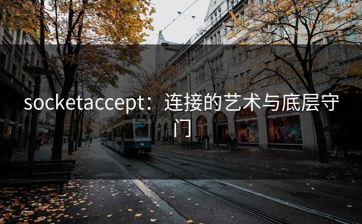 socketaccept:连接的艺术与底层守门 socketaccept:连接的艺术与底层守门
