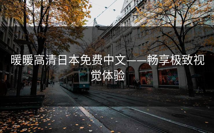 暖暖高清日本免费中文——畅享极致视觉体验