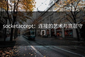 socketaccept：连接的艺术与底层守门