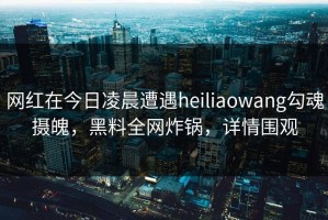 网红在今日凌晨遭遇heiliaowang勾魂摄魄，黑料全网炸锅，详情围观