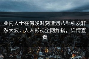 业内人士在傍晚时刻遭遇八卦引发轩然大波，人人影视全网炸锅，详情查看