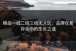 精品一线二线三线无人区：品牌在差异化中的生长之道