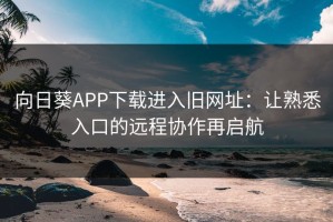 向日葵APP下载进入旧网址：让熟悉入口的远程协作再启航