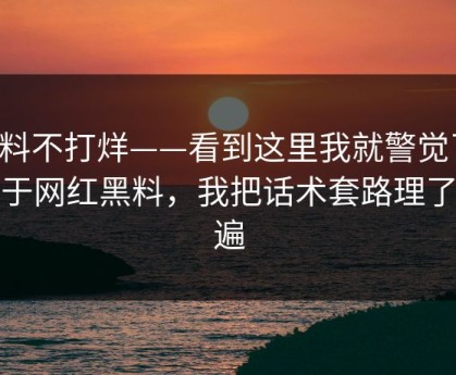 黑料不打烊——看到这里我就警觉了：关于网红黑料，我把话术套路理了一遍