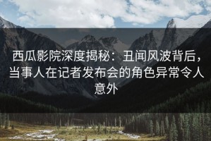 西瓜影院深度揭秘：丑闻风波背后，当事人在记者发布会的角色异常令人意外