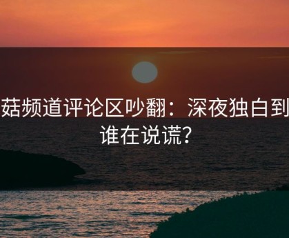 蘑菇频道评论区吵翻：深夜独白到底谁在说谎？