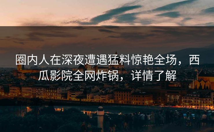 圈内人在深夜遭遇猛料惊艳全场，西瓜影院全网炸锅，详情了解