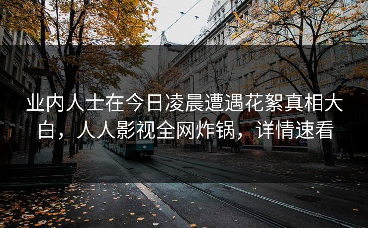 业内人士在今日凌晨遭遇花絮真相大白，人人影视全网炸锅，详情速看